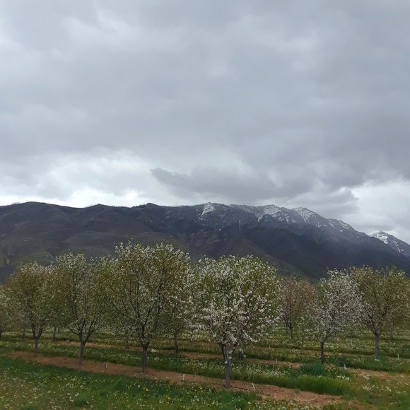 Hello - Picture 2 of 5